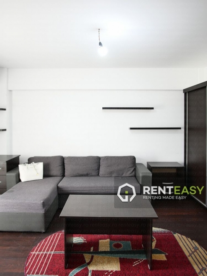 Apartament cu o camera de inchiriat in zona Mitropolie - Sfantul Andrei