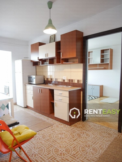 Apartament cu 2 camere de inchiriat in Centrul orasului langa Palas