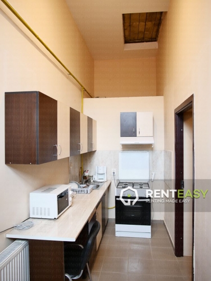 Apartament cu 1 camera de inchiriat in Copou - Bioinginerie