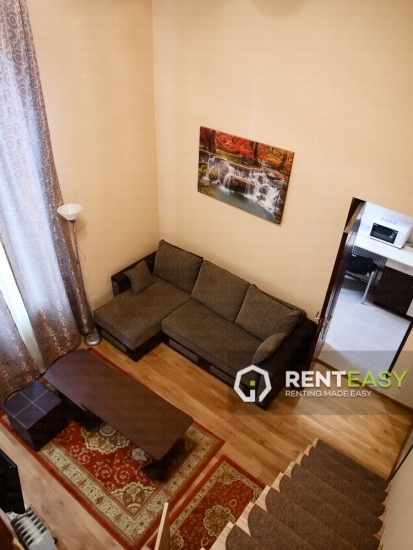 Apartament cu 1 camera de inchiriat in Copou - Bioinginerie