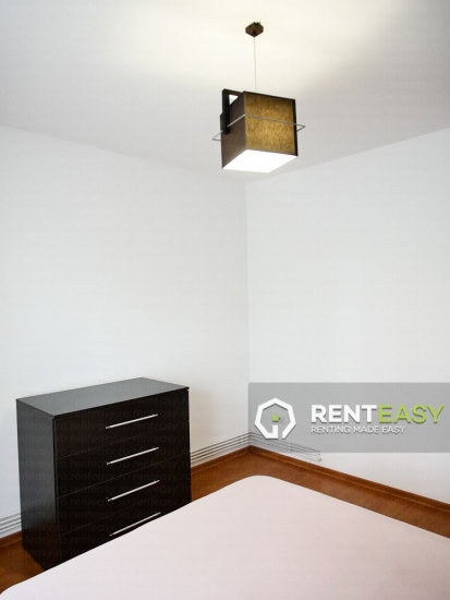 Apartament de lux cu 2 camere in Podul Ros de inchiriat