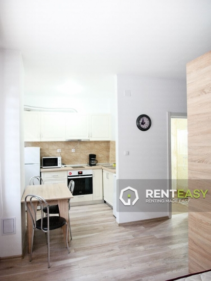 Apartament cu o camera de inchiriat in zona Stefan cel Mare - Mitropolie