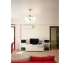 Apartament cu 2 camere in Bloc nou - Copou de inchiriat