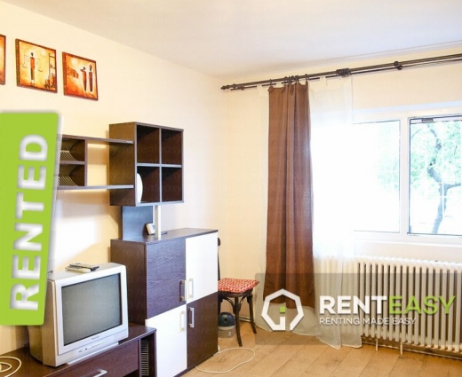 Apartament cu o camera de inchiriat in Podul de Fier