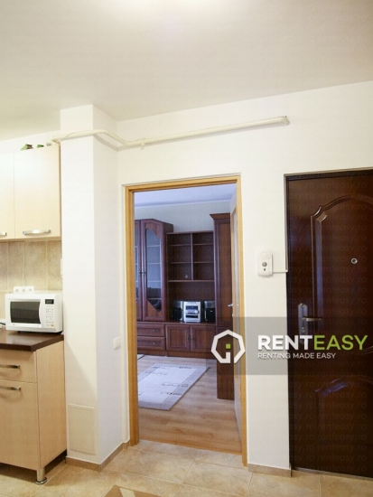 Apartament 2 camere de inchiriat in Podul de Fier