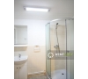 Apartament cu 3 camere si curte de inchiriat in Centru