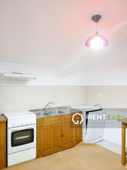 Apartament cu 2 camere de inchiriat zona Independentei - UMF