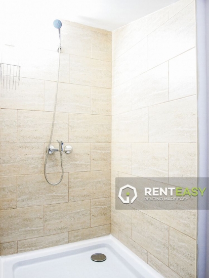 Apartament cu 2 camere de inchiriat zona Independentei - UMF