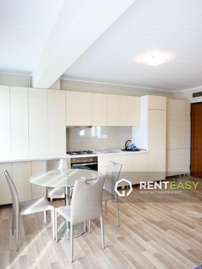 Apartament de lux cu 2 camere de inchiriat in Centru - Podul de Fier