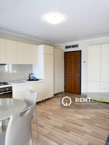 Apartament de lux cu 2 camere de inchiriat in Centru - Podul de Fier
