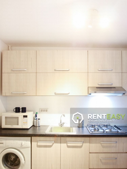 Apartament cu 2 camere proaspat renovat de inchiriat in Podu Ros