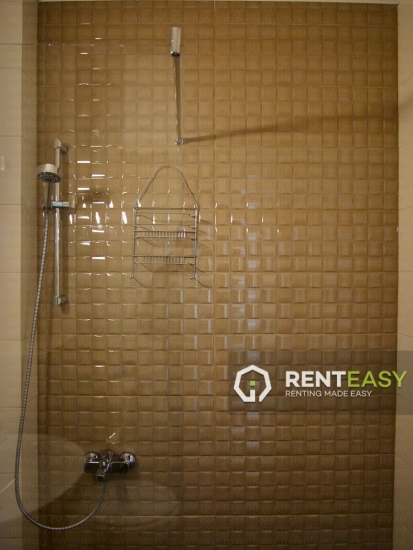 Apartament cu 2 camere in zona Mitropoliei de inchiriat