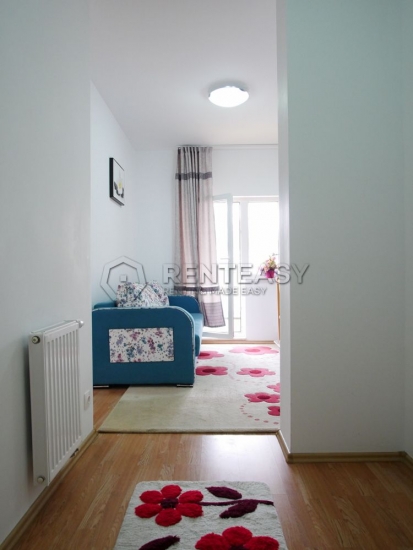 Apartament 1 camera Copou