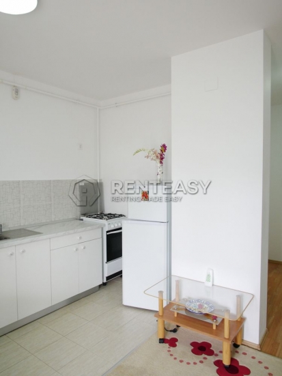 Apartament 1 camera Copou