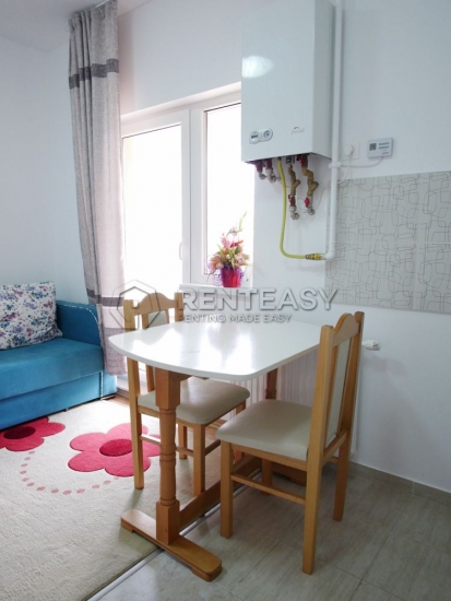 Apartament 1 camera Copou