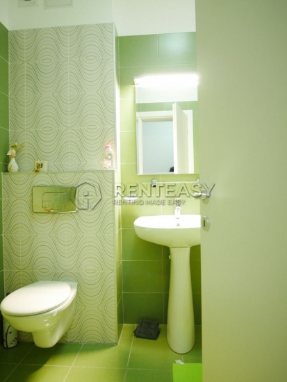 Apartament 1 camera Copou