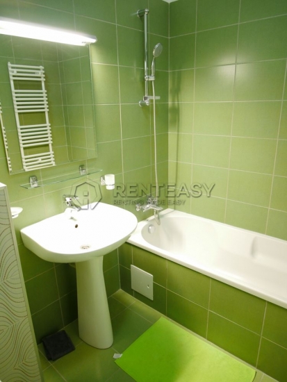 Apartament 1 camera Copou