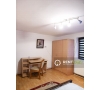 Apartament cu 1 camera de inchiriat in zona Pacurari