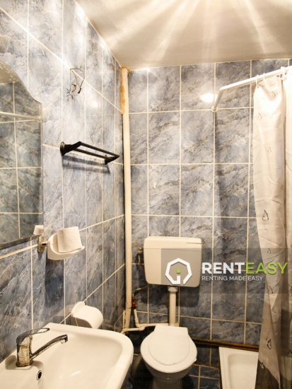 Apartament cu 1 camera de inchiriat in zona Pacurari