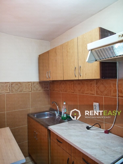Apartament cu 1 camera de inchiriat in zona Pacurari