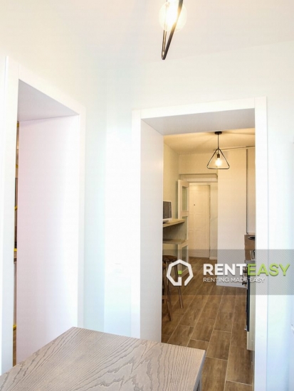 Apartament cu o camera de inchiriat in zona Ultracentrala