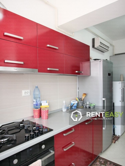 Apartament cu 1 camera de inchiriat in Centru zona Palas