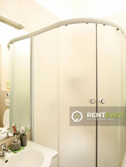 Apartament cu 1 camera de inchiriat in Centru zona Palas