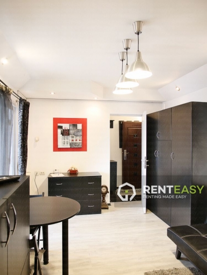 Apartament 1 camera zona Stefan cel Mare de inchiriat