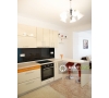 Apartament spatios cu 2 camere in Copou de inchiriat