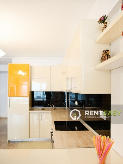 Apartament spatios cu 2 camere in Copou de inchiriat