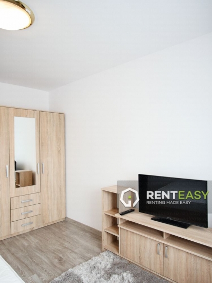 Apartament cu o camera de inchiriat in Centru - A Panu