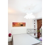 Apartament 3 camere de inchiriat in zona Palas