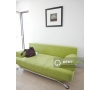 Apartament cu 2 camere de inchiriat in Copou