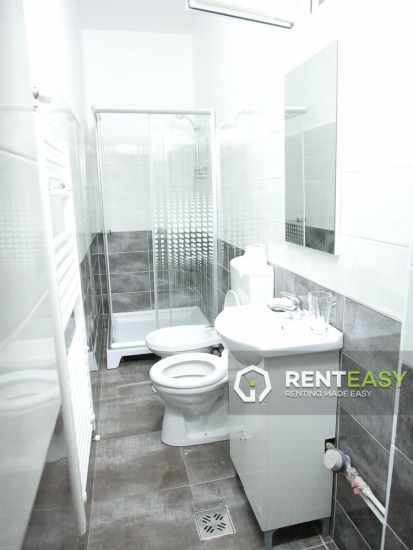 Apartament 1 camera de inchiriat in zona Copou