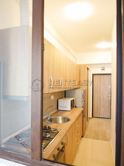 Apartament o camera Iasi