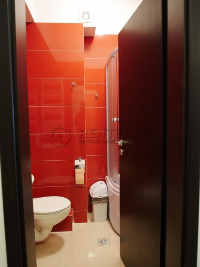 Apartament o camera Iasi
