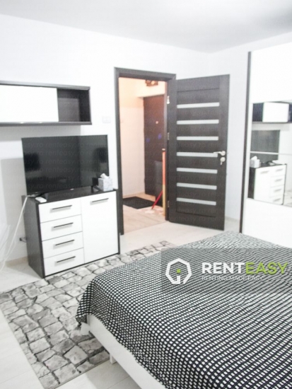 Apartament cu o camera decomandat de inchiriat langa Hala Centrala