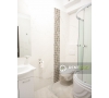 Apartament cu o camera pentru inchiriat in Lazar Residence