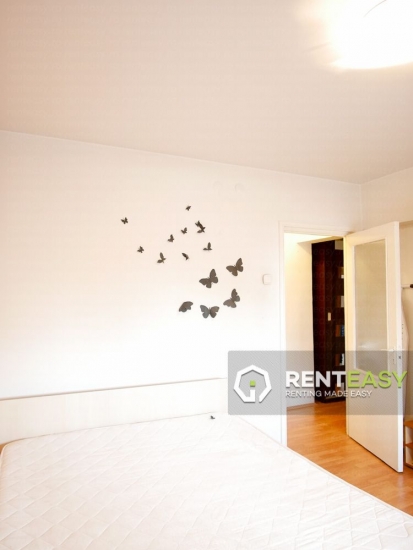 Apartament cu 2 camere decomandat de inchiriat in Centru - Podu Ros