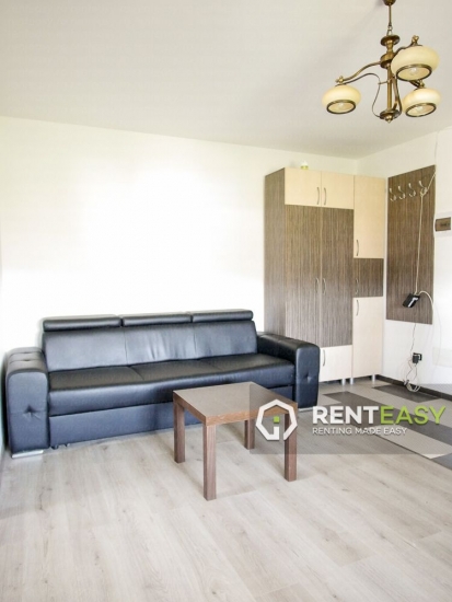 Apartament cu 2 camere de inchiriat in Podul de Fier