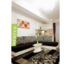 Apartament o camera Iasi