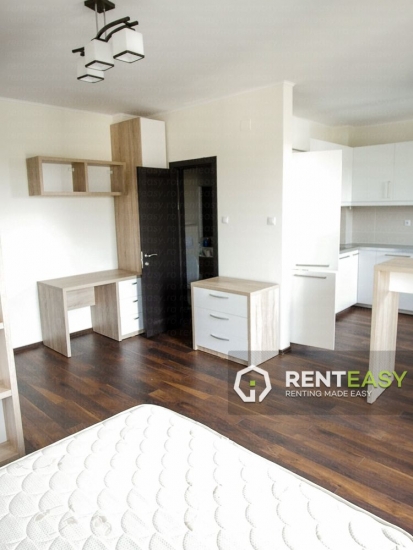 Apartament cu 1 camera de inchiriat situat in Zona Centrala