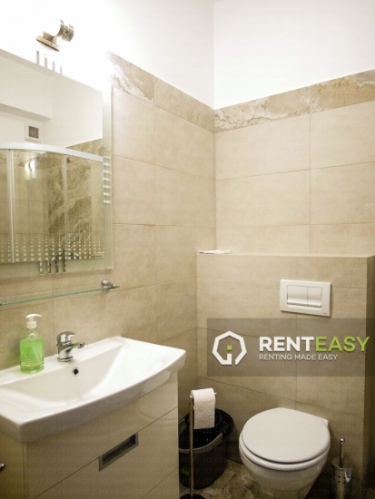 Apartament cu o camera de inchiriat in zona Palas - bloc nou