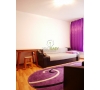 Apartament 2 camere Hala Centrala