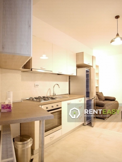 Apartament cu 2 camere de inchiriat in Pacurari