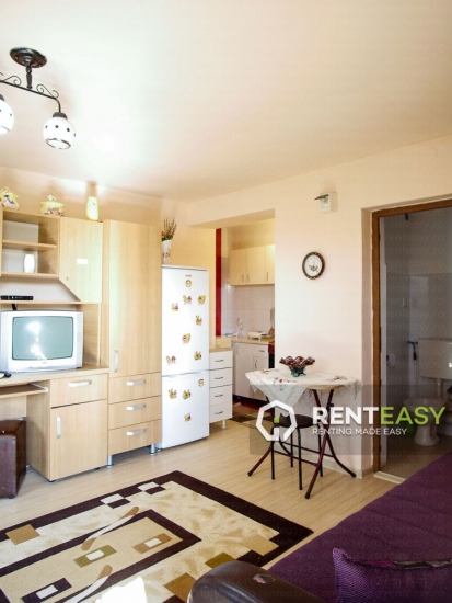 Apartament cu o camera de inchiriat in Podul de Fier