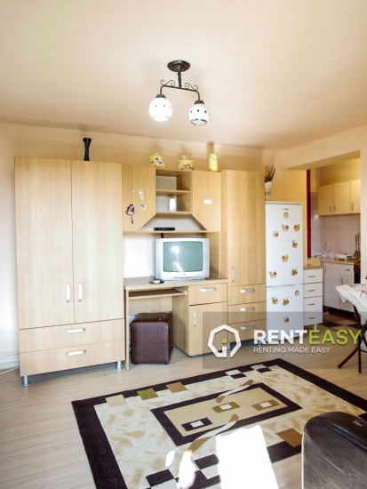 Apartament cu o camera de inchiriat in Podul de Fier