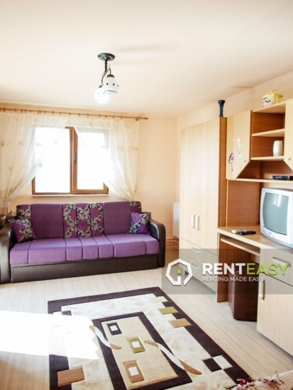 Apartament cu o camera de inchiriat in Podul de Fier