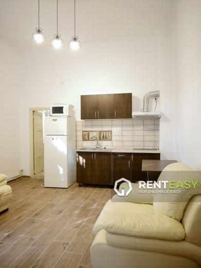 Apartament cu 2 camere de inchiriat in Centru - UMF