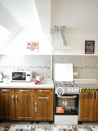 Apartament cu 2 camere de inchiriat in Pacurari